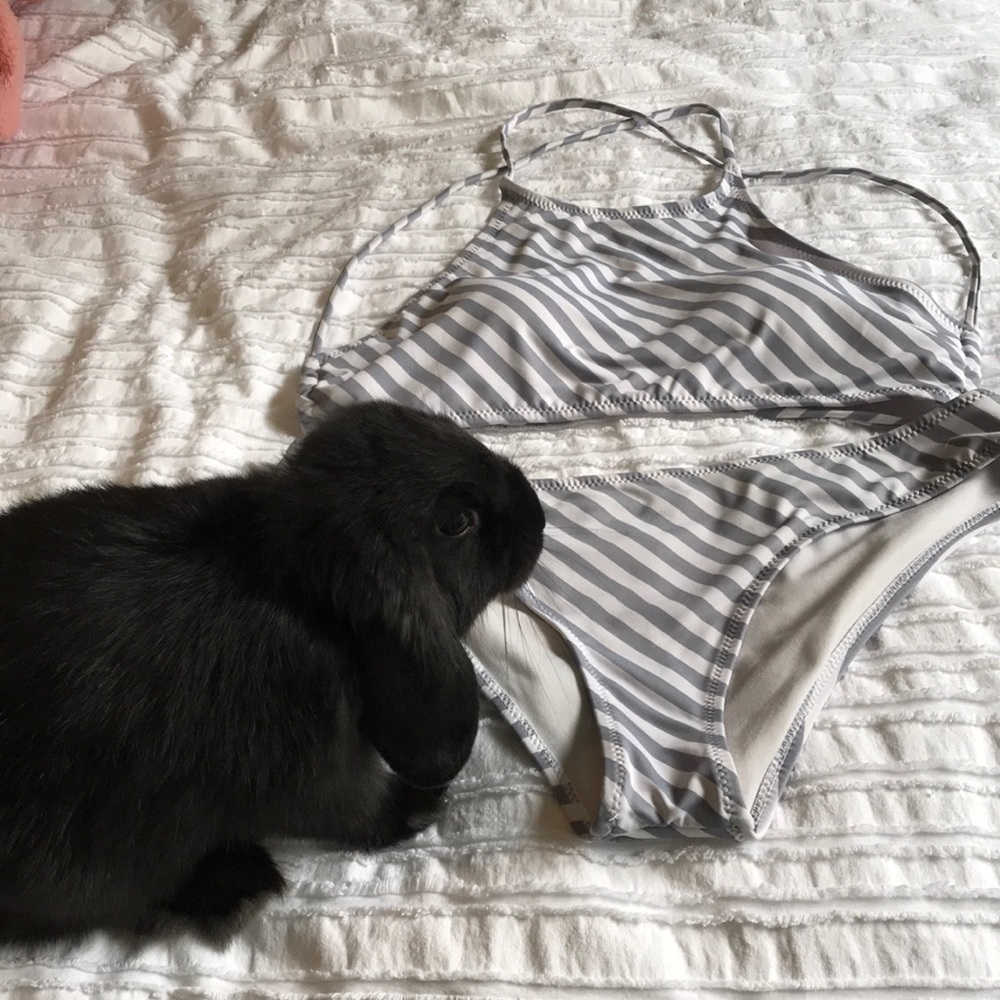 Striped bikini - Picture 4 of 7